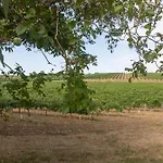 Les Hirondelles Archiac